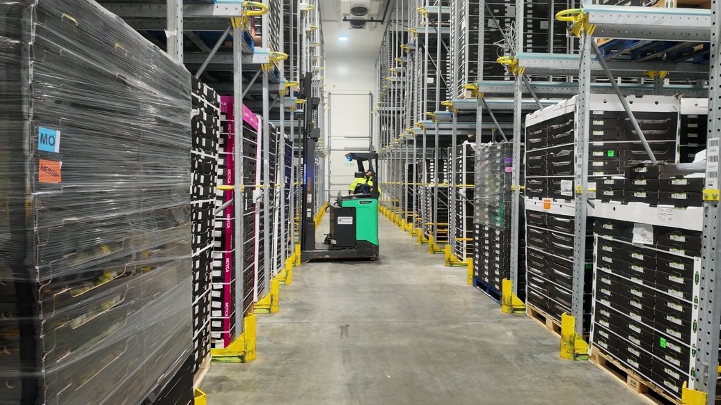Griffin and Brand - Tall pallet storage racks and a green forklift inside a refrigerated warehouse - Home